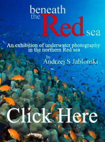 Red Sea Exhibition
