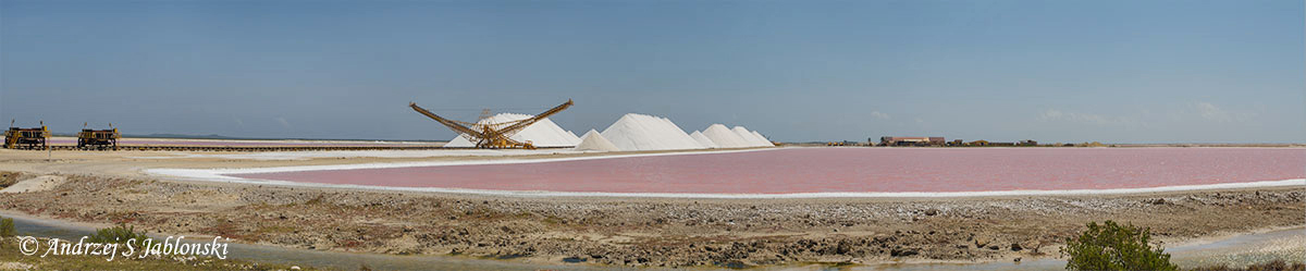 bonaire1