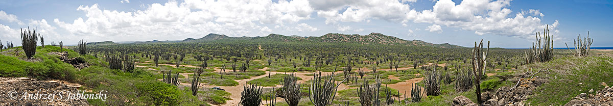 bonaire1