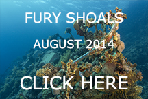 furyshoals