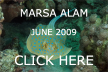 june2009