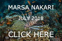 marsa nakari